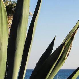 Идеальная формула 